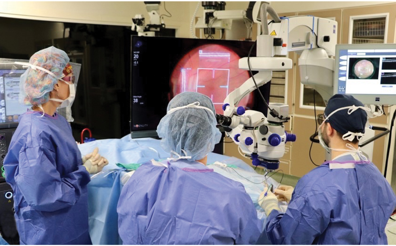 Surgical Retina